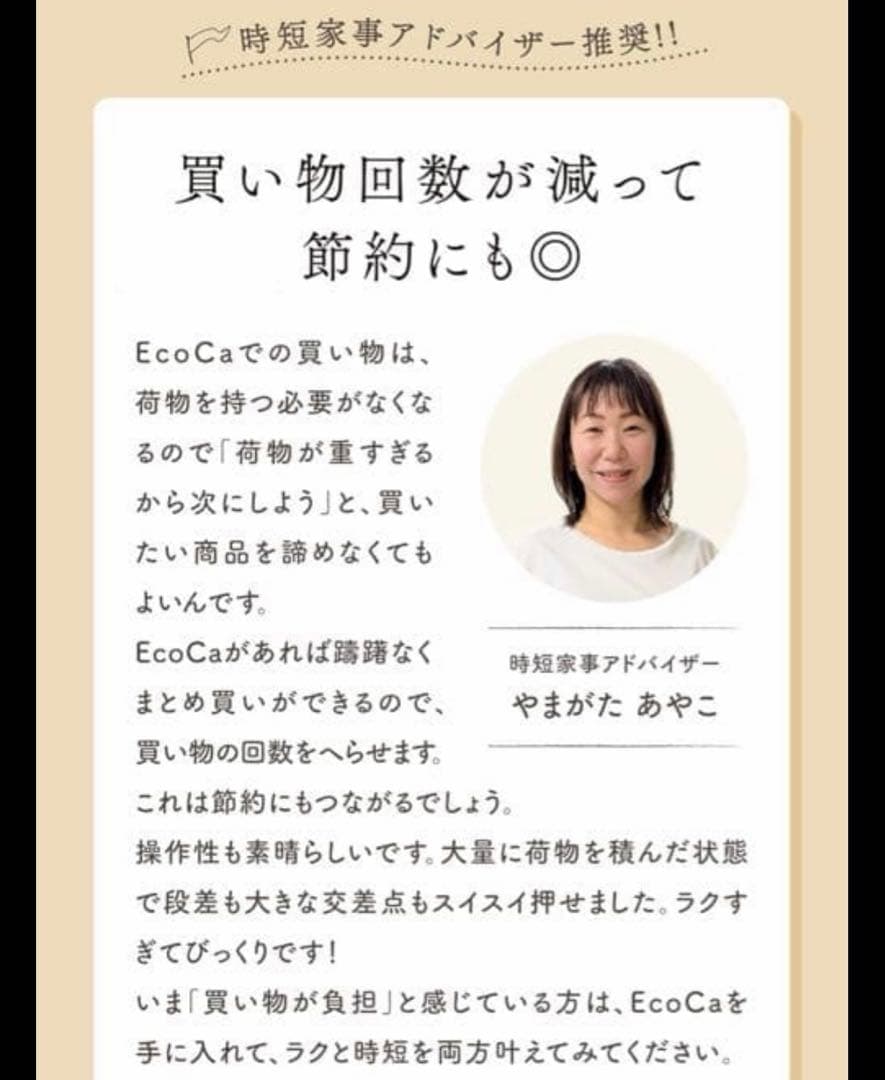 Eco ca エコカ ブラック ショッピングカート