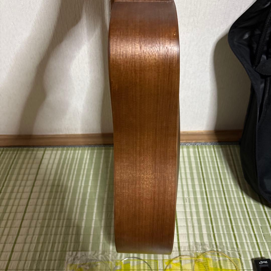 ヤイリ s.yairi ミニ アコースティックギター YM-02/MH 楽器　弦