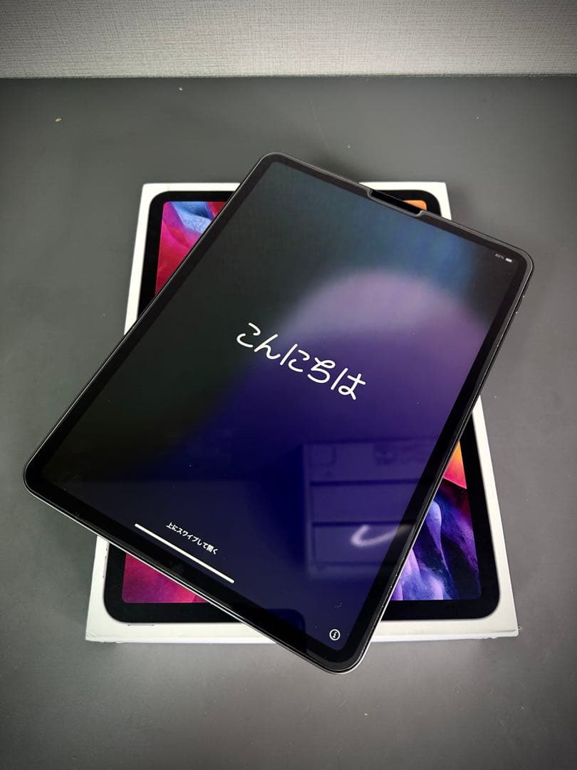 iPad Pro 256GB スペースグレイ第二世代+アップルペン　ケース付