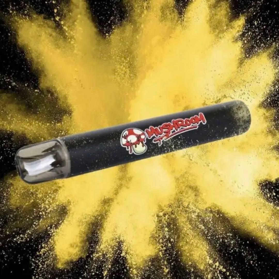 新品未使用 がーどまん シーシャ レモン 2本セット