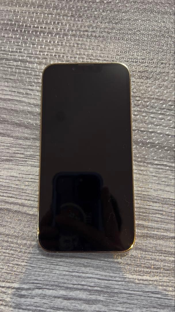 iPhone13pro本体 カメラ不良