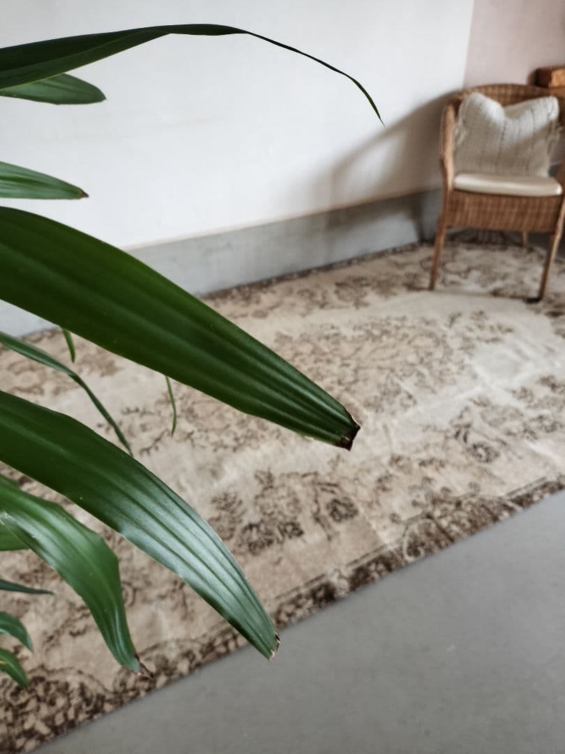 【strawberry_jam15】超大判クリームベージュラグNo.629