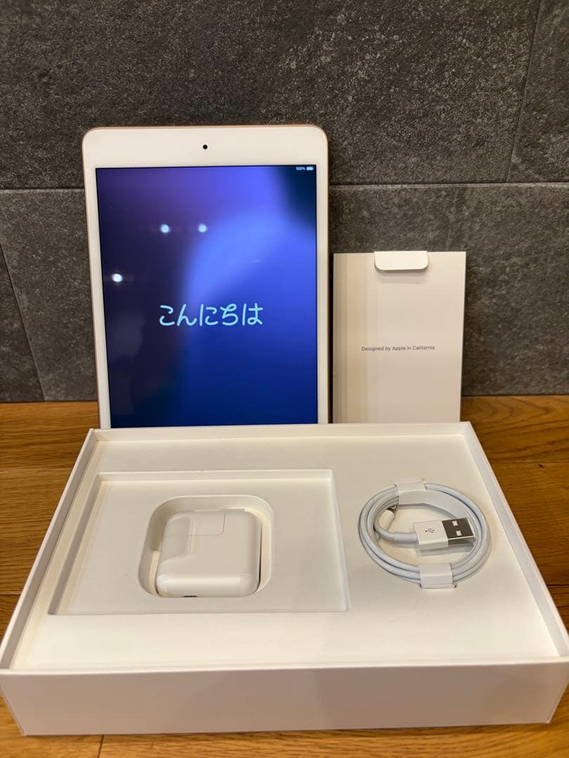 【美品】iPad mini 第5世代 256GB ゴールド Wi-Fi