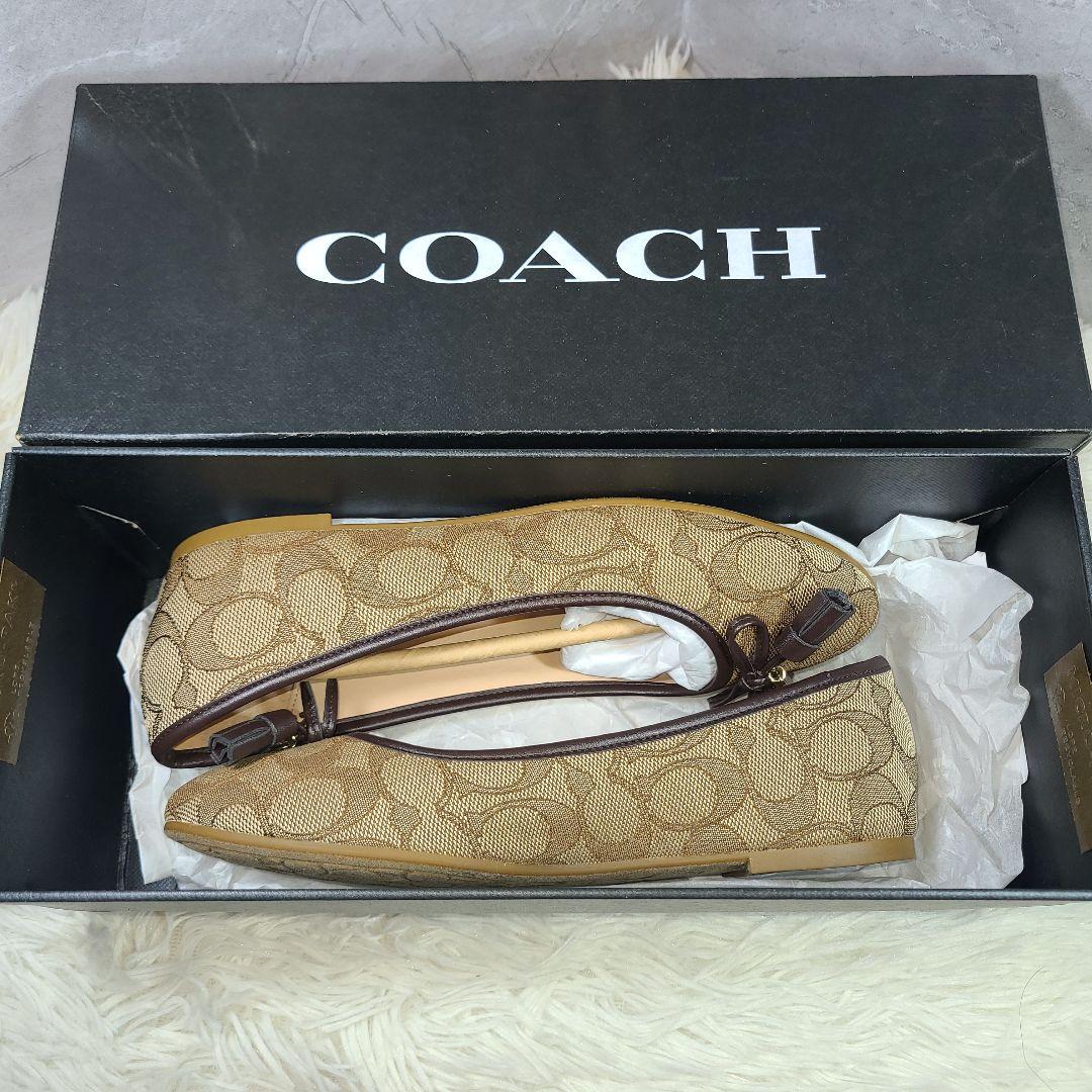 【COACH】シグネチャー　フラットパンプス　バレエシューズ