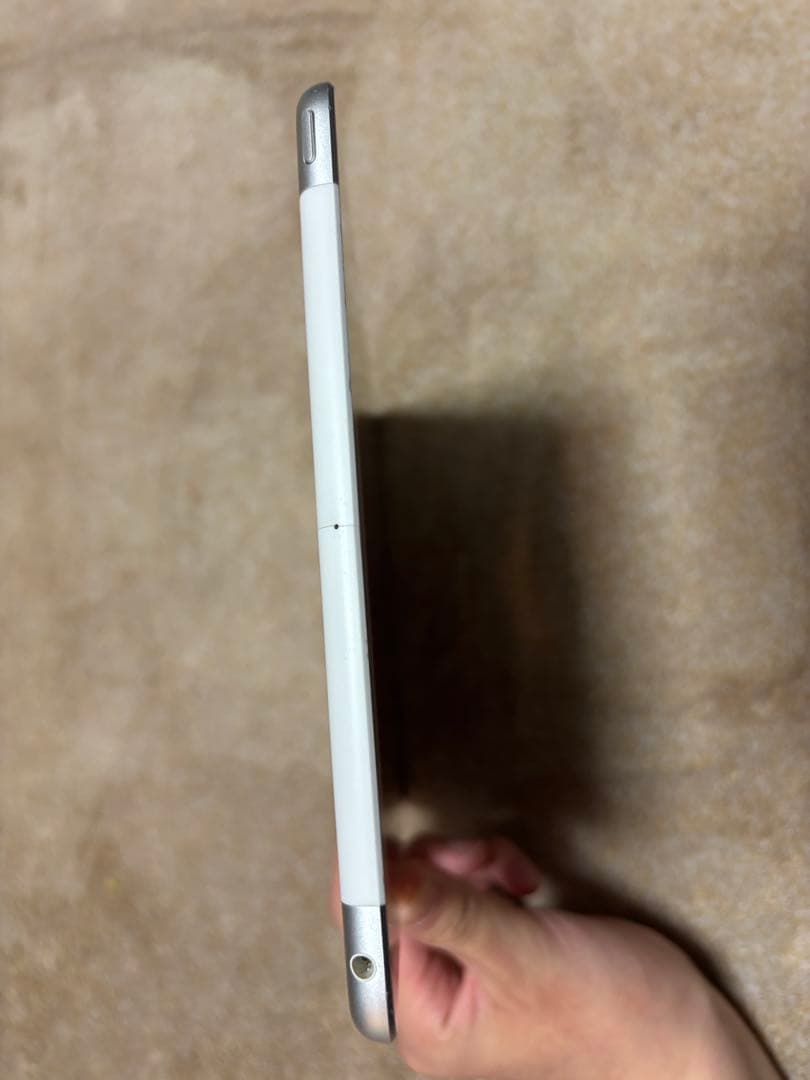 iPad（ 第5世代/2017）Cellular SIMロック解除済み