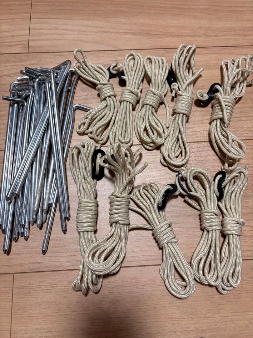 サバティカル　ギリア　廃盤品