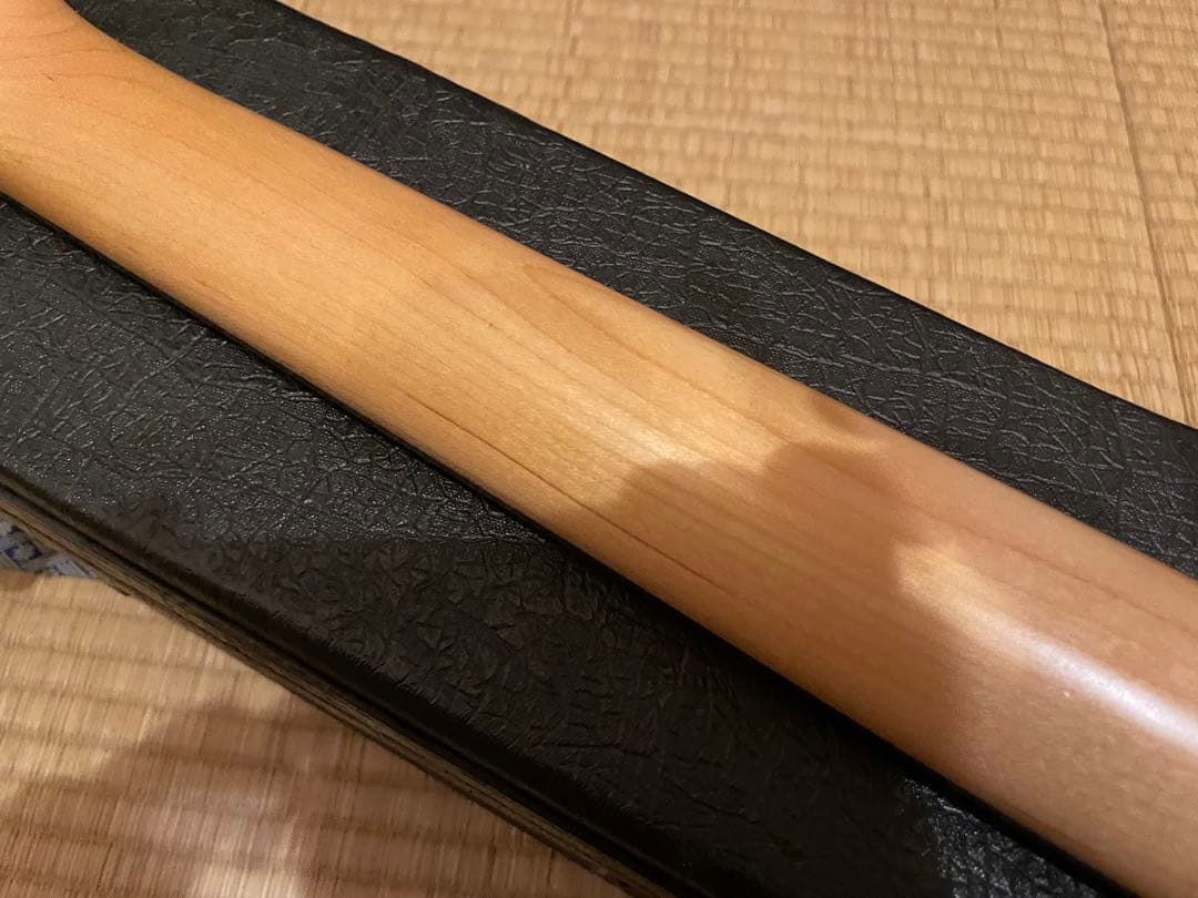 ギター Norman Expedition Nat Folk Solid Spruce