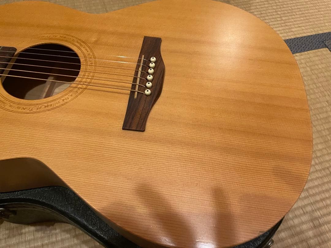 ギター Norman Expedition Nat Folk Solid Spruce