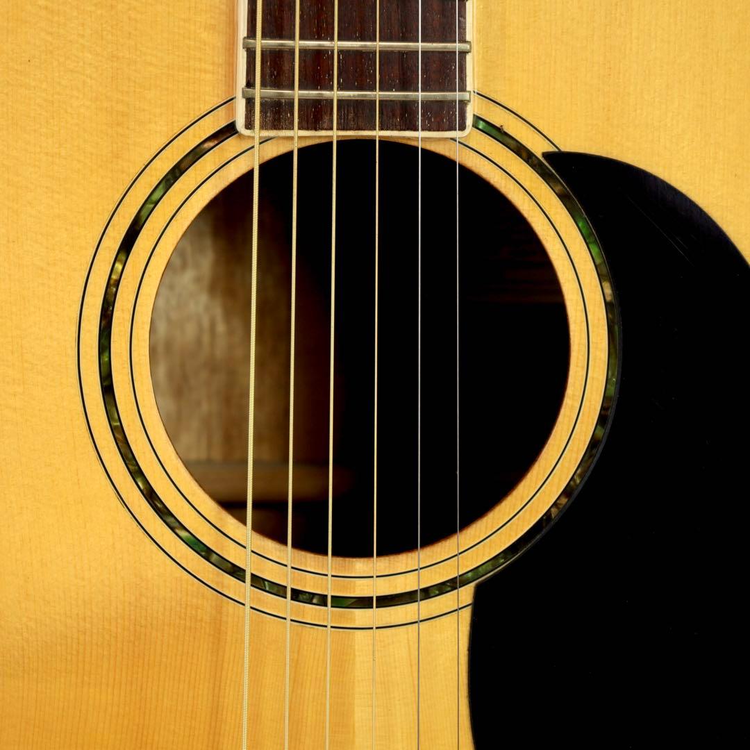 タカミネ アコースティックギター TD-30