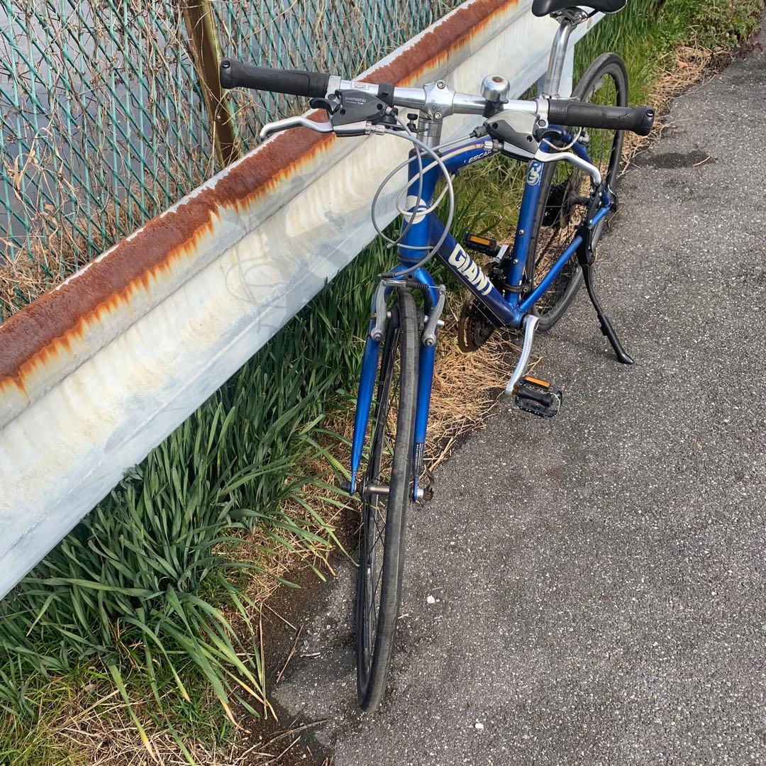 [451]石神 レイ ジャイアント ESCAPE S ※引き取り