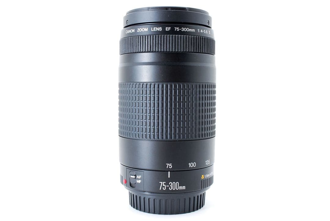 遠くも撮れる　キャノン　望遠レンズ☆ Canon EF75-300㎜