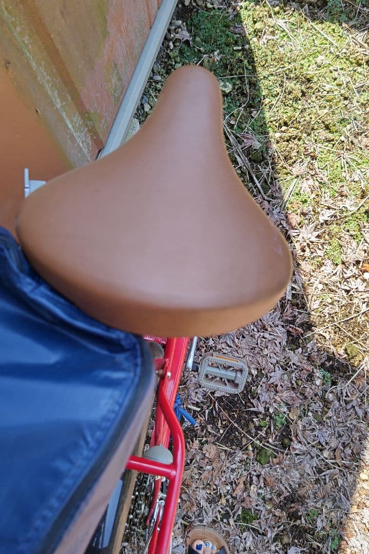 ミッキーマウス折畳み自転車