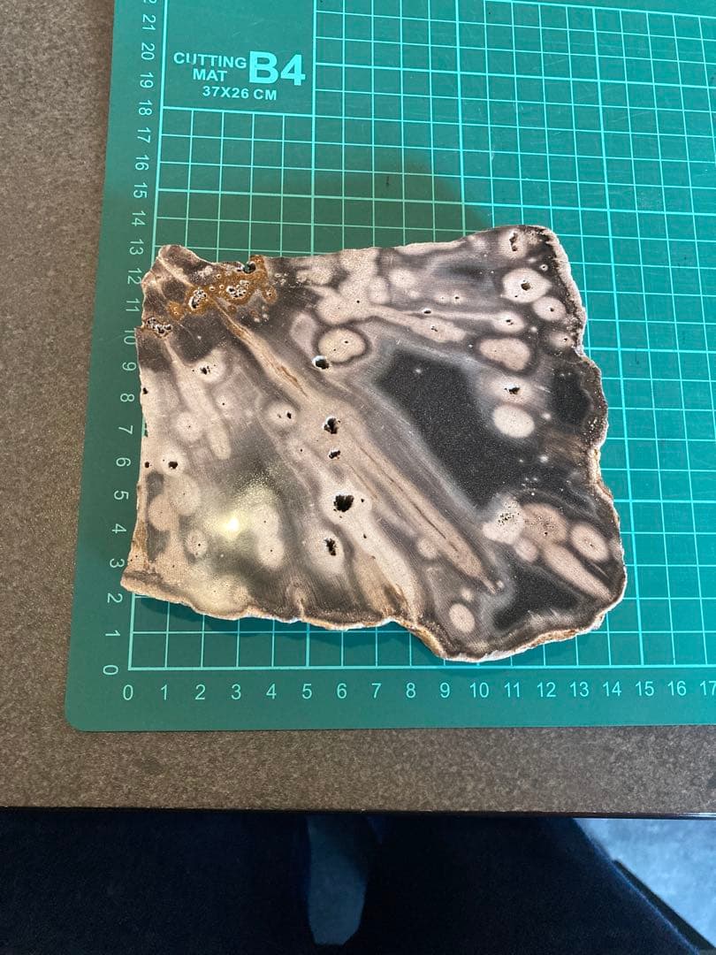 ペトリファイドウッド 原石 パワーストーン 天然石 珪化木