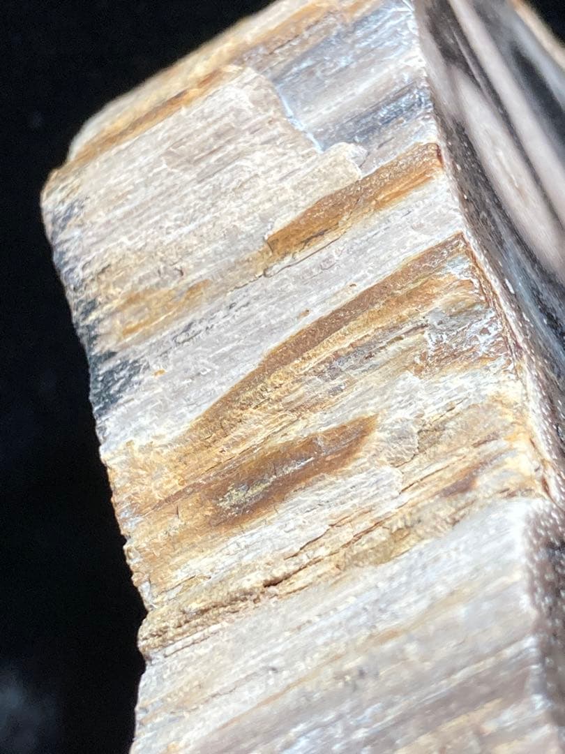 ペトリファイドウッド 原石 パワーストーン 天然石 珪化木