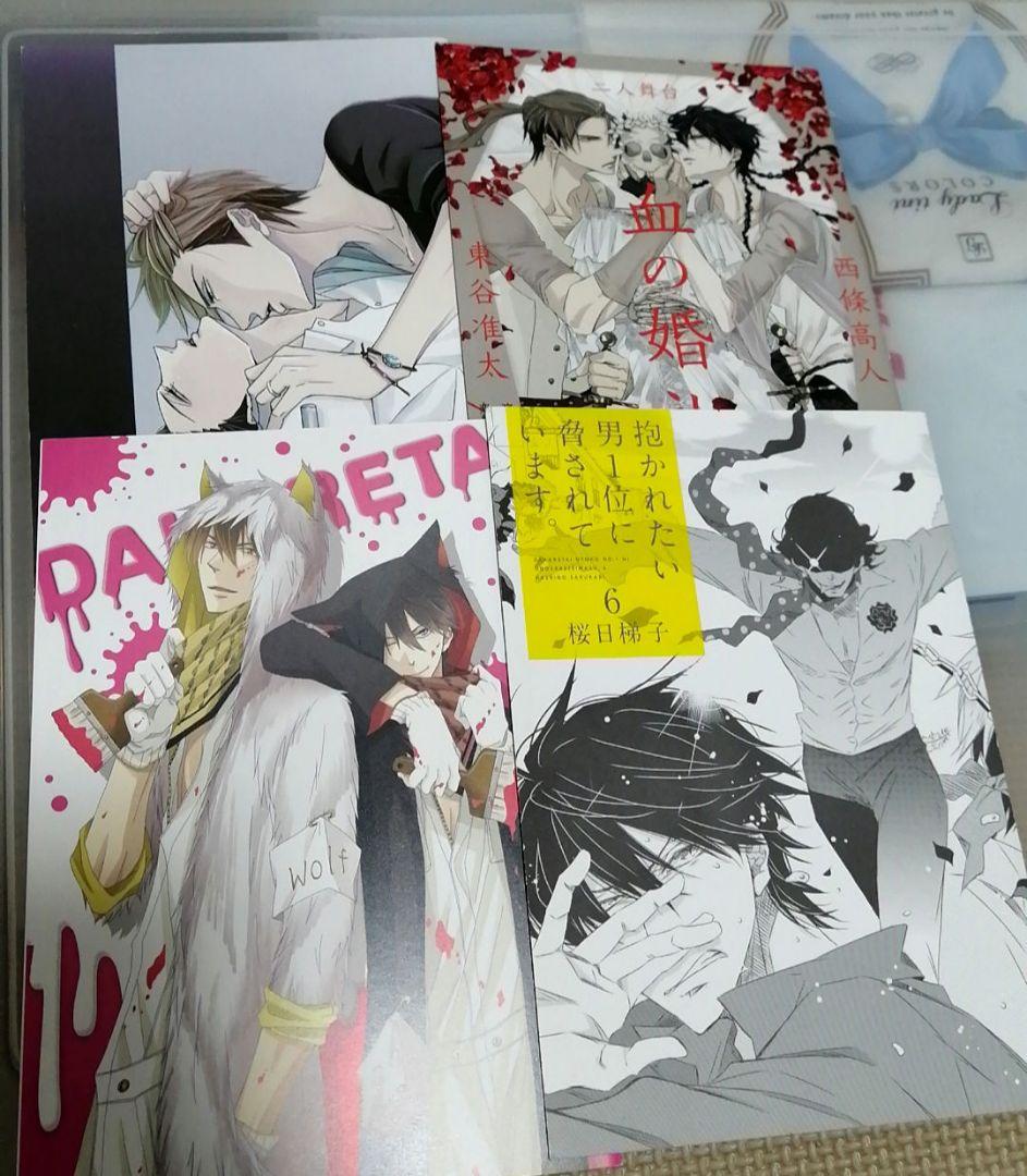 抱かれたい男一位に脅されています　だかいち　小冊子　ブックレット　リーフレット