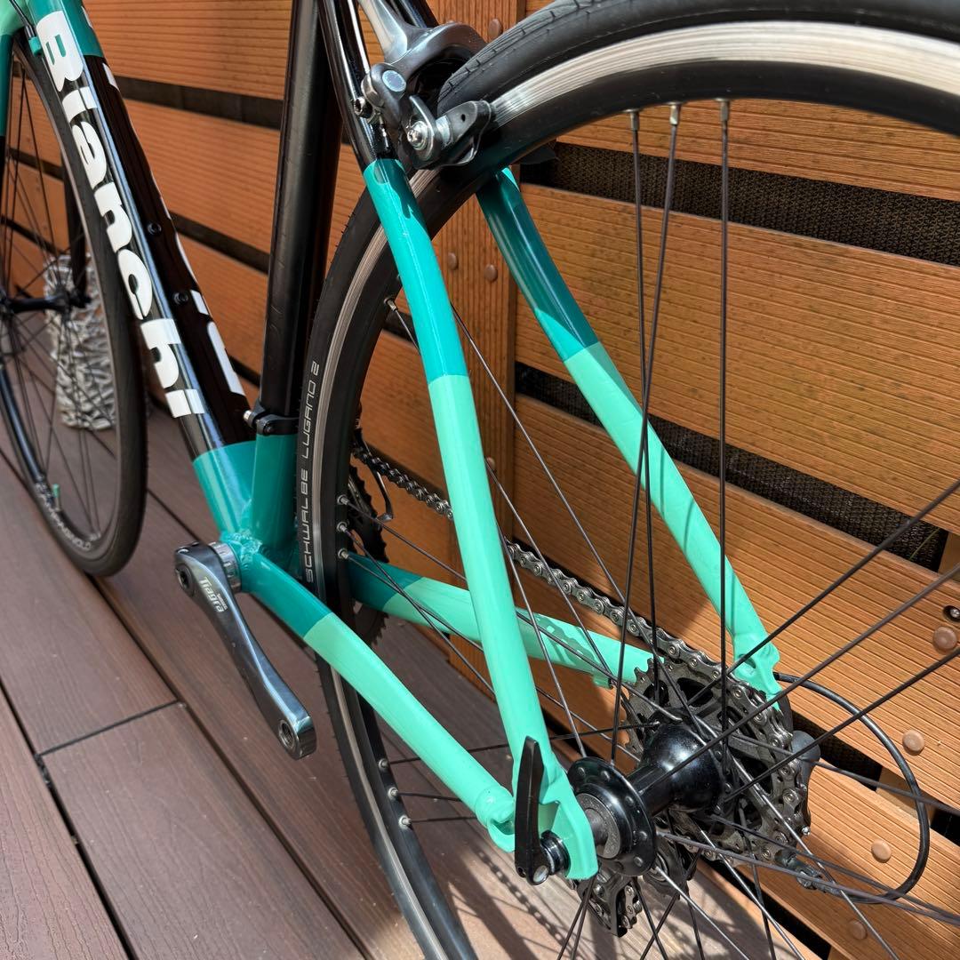ビアンキ VIANIRONE 7 Tiagra10速SIZE53 カンパニョーロ