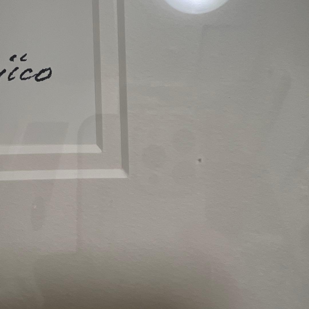 橋本不二子作　限定版画　直筆サイン入りMy garden floweys