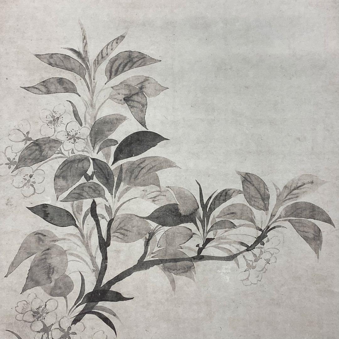 掛軸 俵屋宗達 桜図 木箱 複製画 工芸 水墨画 花 春 5-29