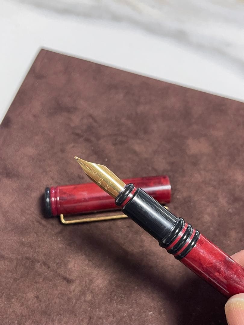 万年筆　ウォーターマン. バーバリー ( ペン4本)