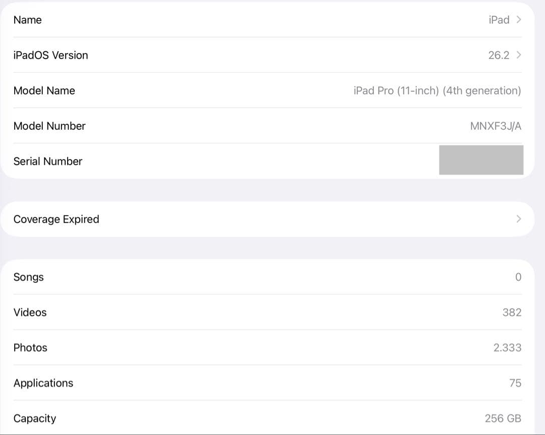 iPad Pro 11　(第4世代) M2 256GB WIFI　+　おまけ付き