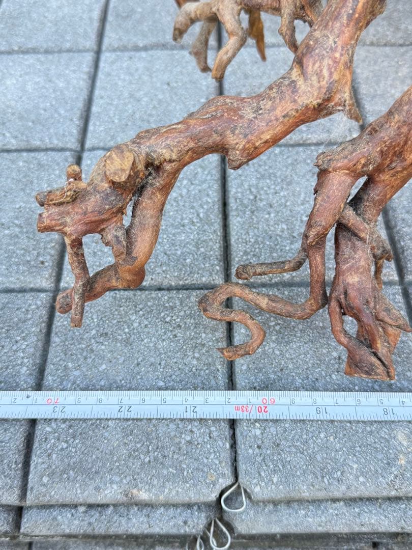 【送料込み】一点モノ★流木　置物　猪　オブジェ　ドリフトウッド　インテリア