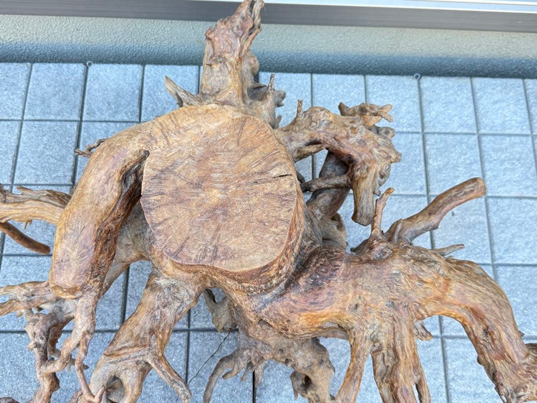 【送料込み】一点モノ★流木　置物　猪　オブジェ　ドリフトウッド　インテリア