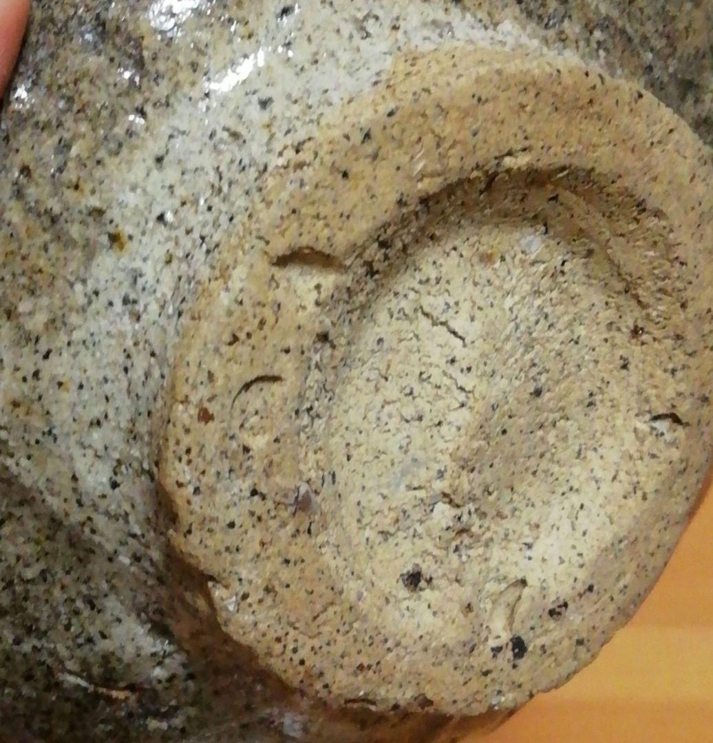 上口愚朗作　上野山窯　茶碗　共箱　茶道具