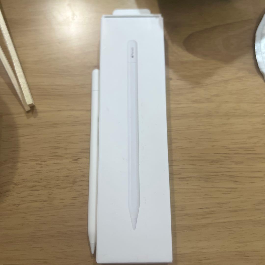 iPadアクセサリー Apple Pencil typeC