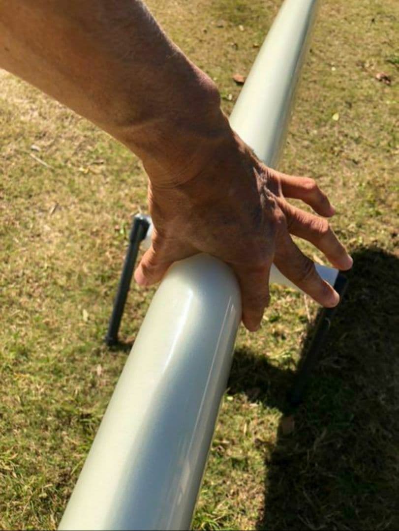 超レア超美品ランスカーソンPIG9'6クラシックロング芸術品Dフィン