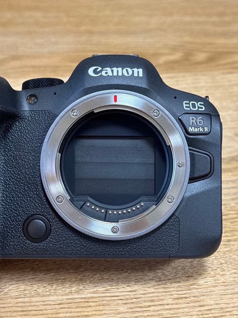 シャッター数少ない美品！メーカー4か月保証付　EOS R6 Mark II