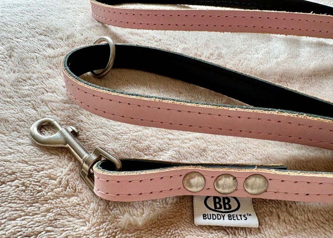 バディベルト Body Belts ピンクハーネス & リード セット　バディー