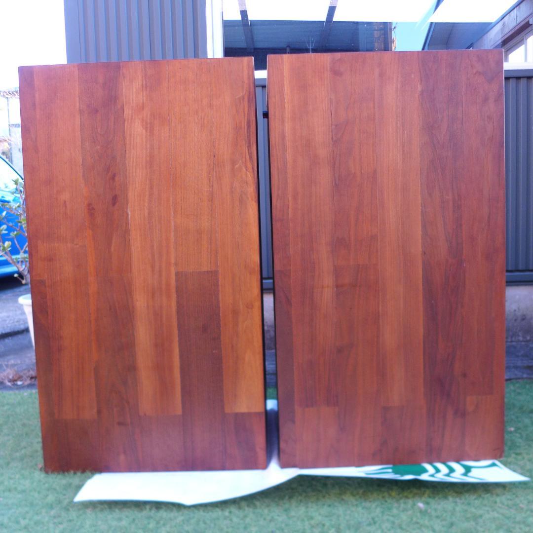 レア　SABA　サバ　Permadyn　19-200　+　フロントホーン　ペア