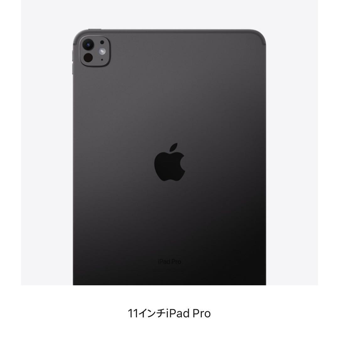 【美品】Apple iPad Pro （M5）11インチ256GB Wi-Fi