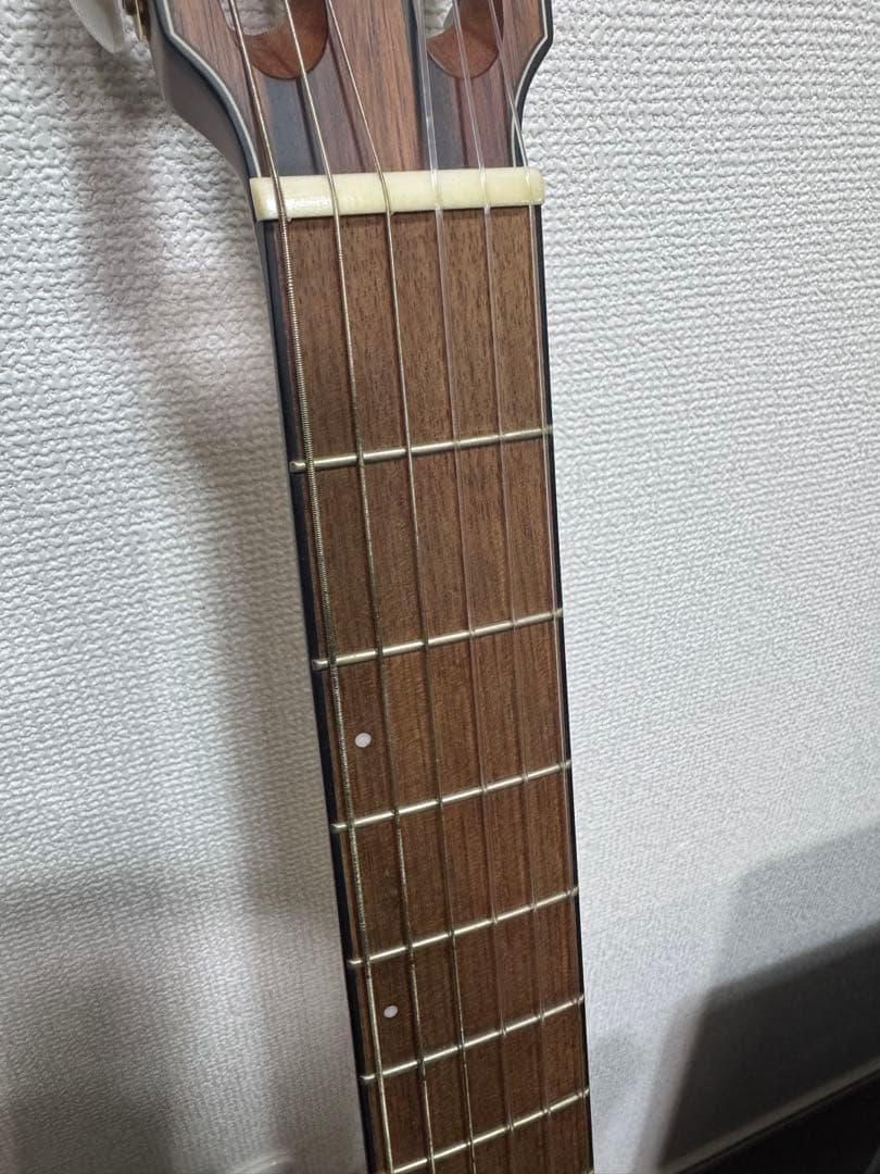 d*g様 Ibanez FRH10N BSF エレガットギター アイバニーズ　ケ