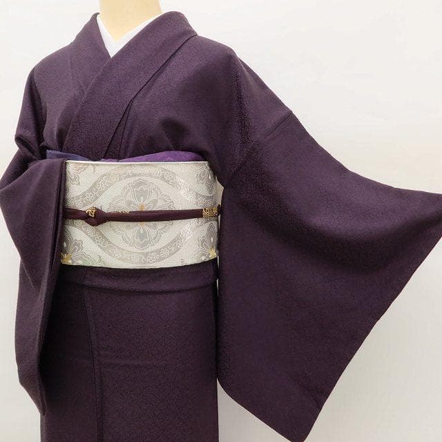 美品 正絹 着物“似せ紫色に待つ繊細でいて優美な菊と変化”色無地 U-51