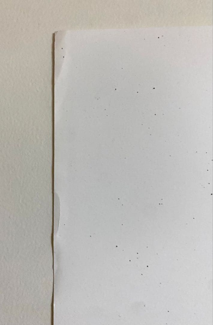 希少！仲條正義：京都細見美術館『フジノヤマイ』ポスター