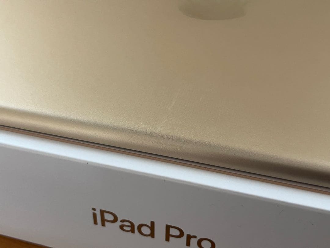 iPad Pro（10.5）Cellular 256GBゴールド 本体 付属品付