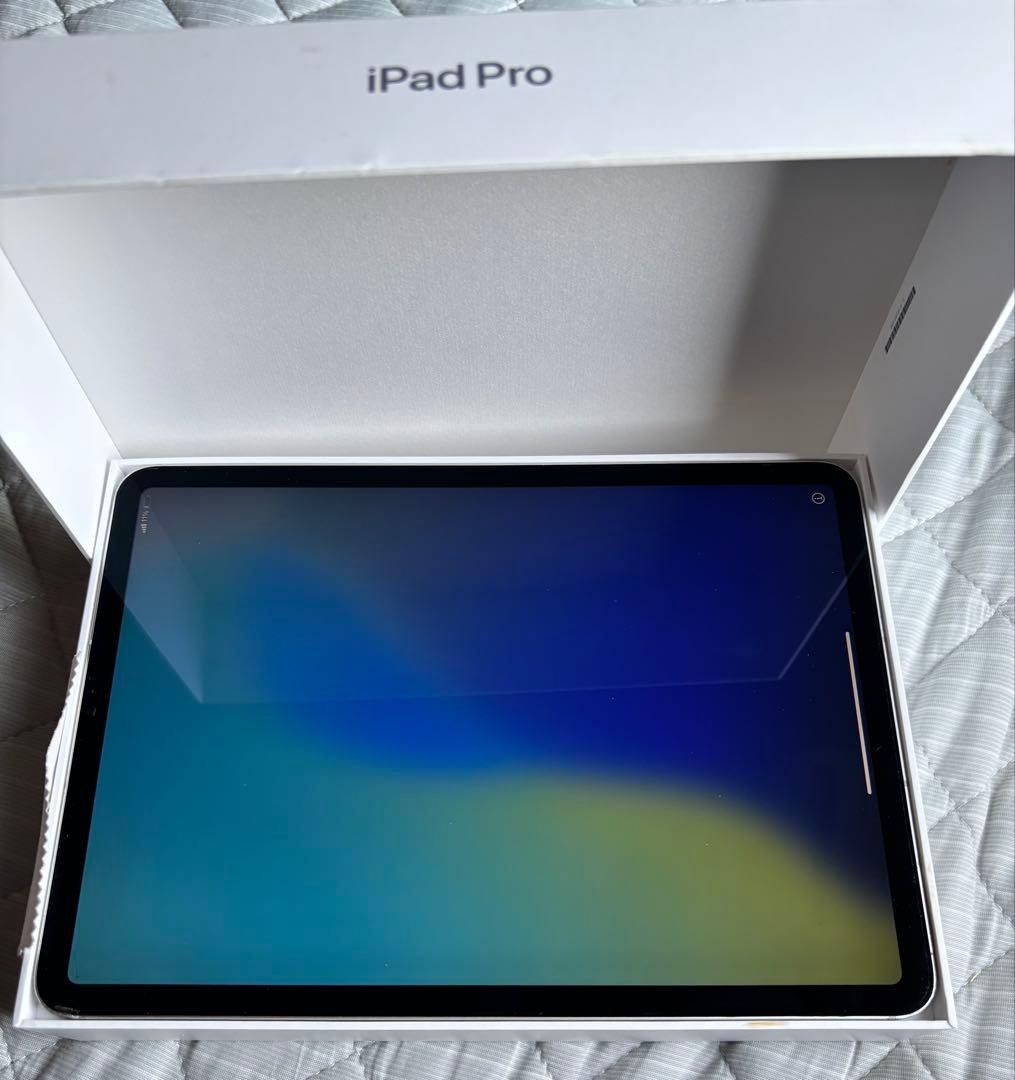 iPad Pro 11インチ wifi＋Cellular 256GB