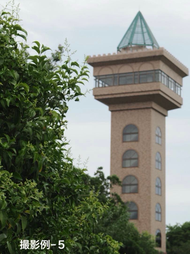 50㎜ f2.8 ヘリコイド機能付き Borg引き伸ばしレンズ