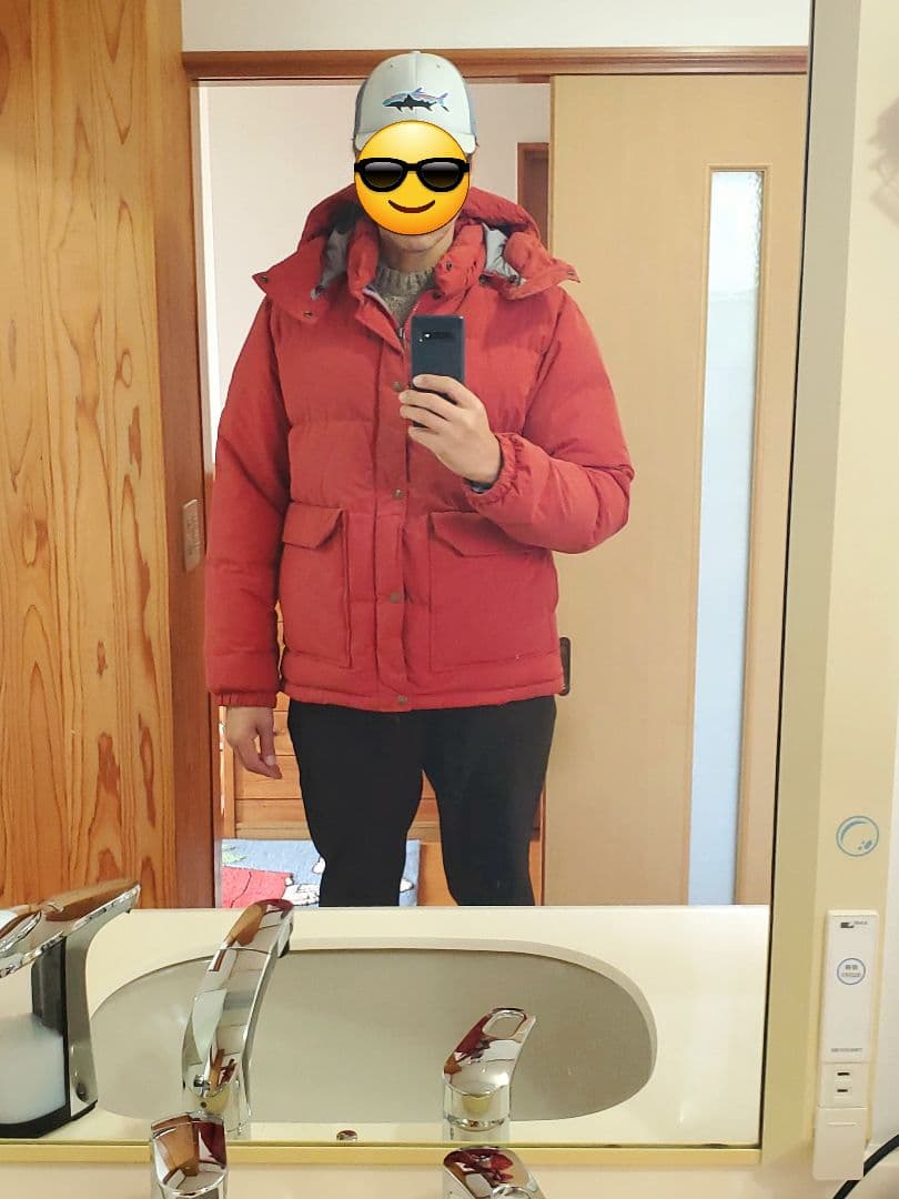 ノースフェイス　ダウンジャケット　キャンプ シエラ ショート サイズL