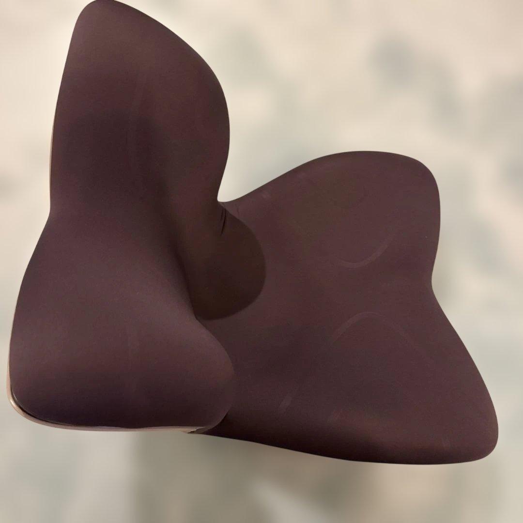 MTG スタイルプレミム　骨盤矯正 姿勢矯正 座椅子