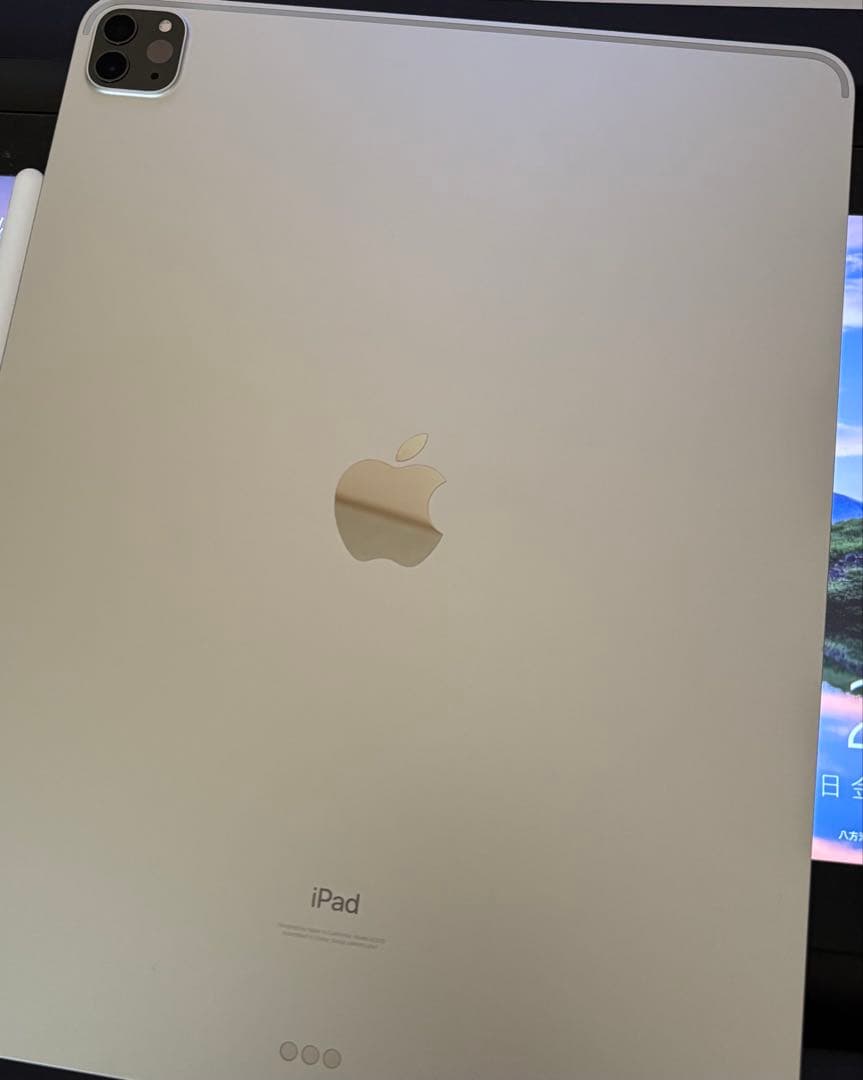 iPad Pro 第五世代　12.9インチ　256GB ペンシル付き　Wi-Fi