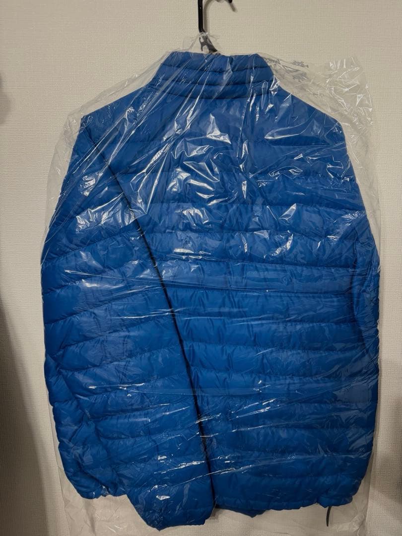 2012年製　patagonia ダウンセーター　Lサイズ
