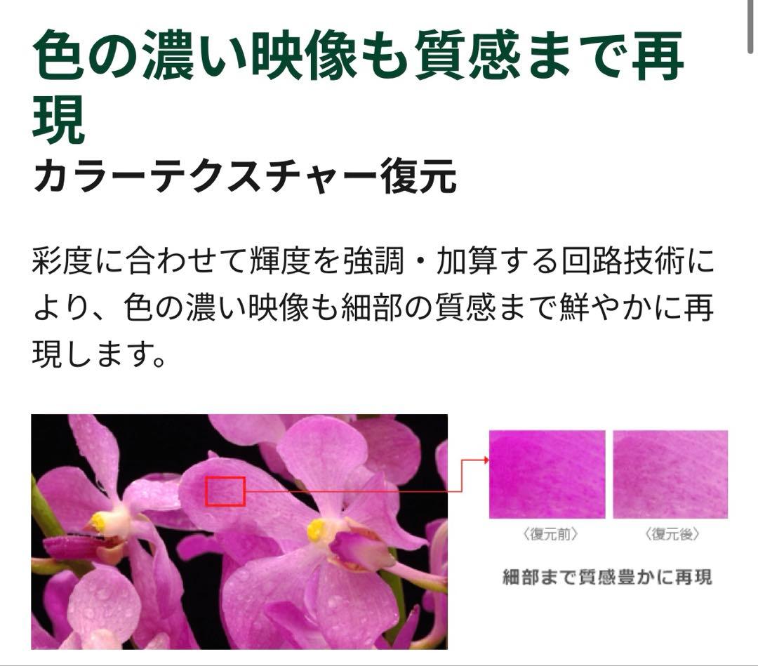 TOSHIBA REGZA 4K対応液晶テレビ[50インチ] 23年製