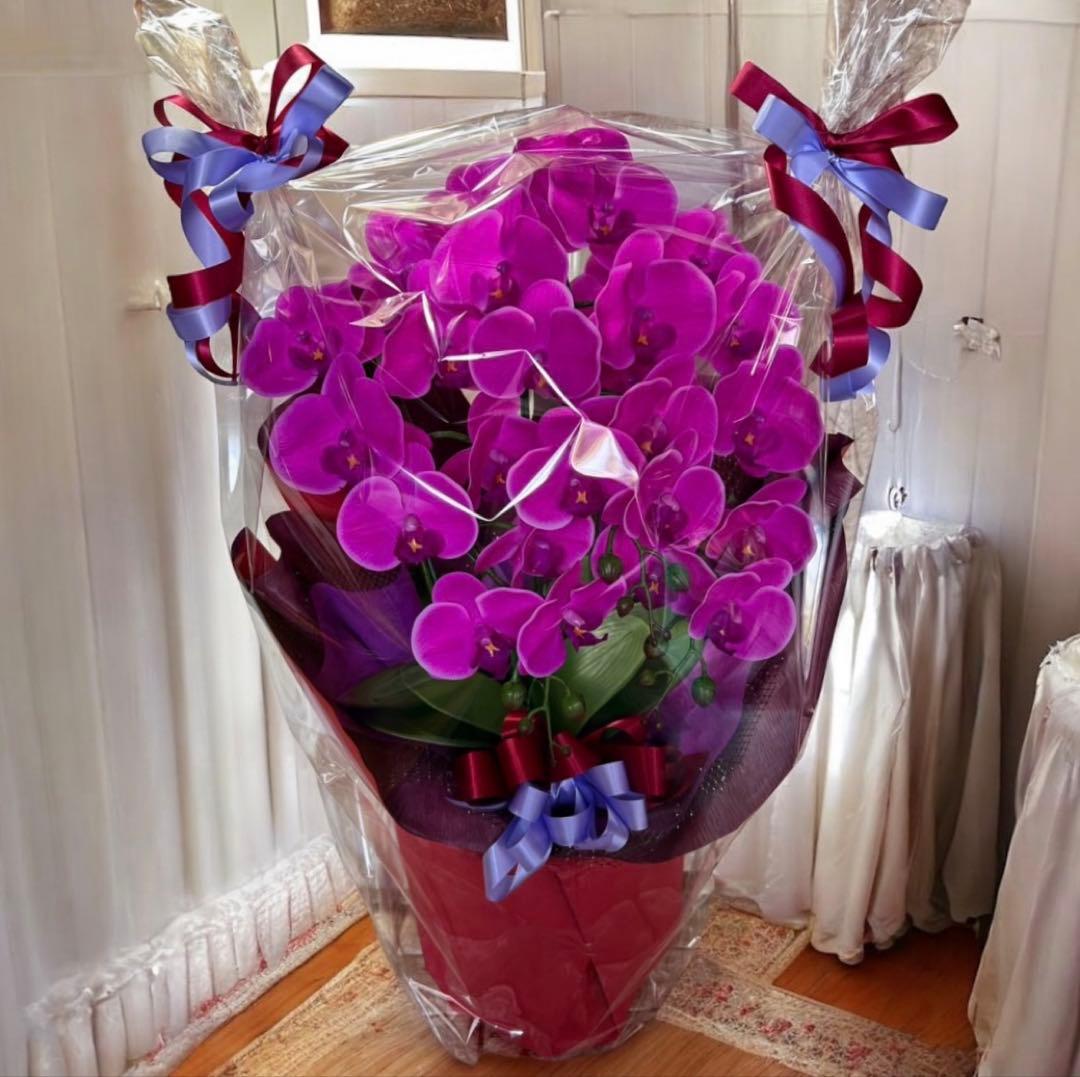 光触媒　人工観葉植物　ウォールグリーン　フェイクグリーン　リアル胡蝶蘭74