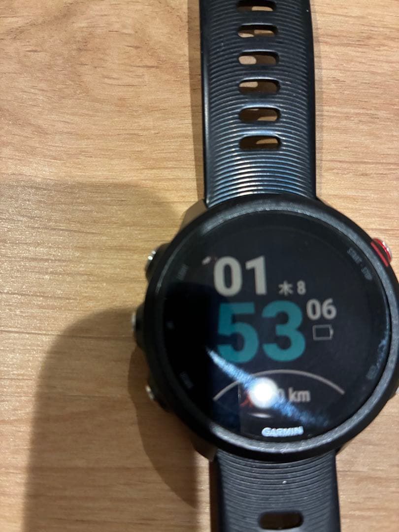 【さはら】GARMIN Foreathlete245music