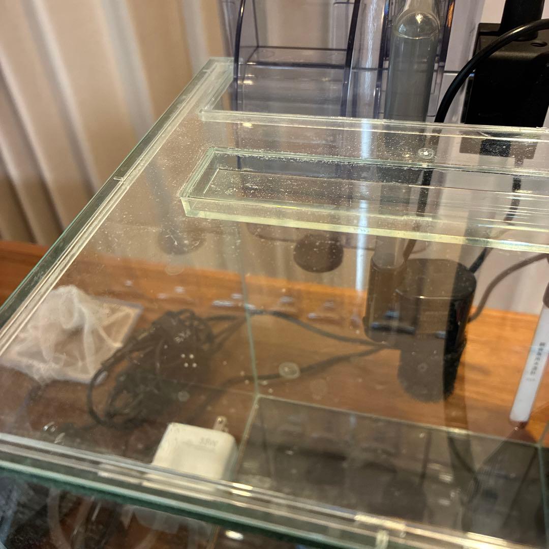 海水魚 ガラス水槽 セットライト•フィルター•飼育本付き