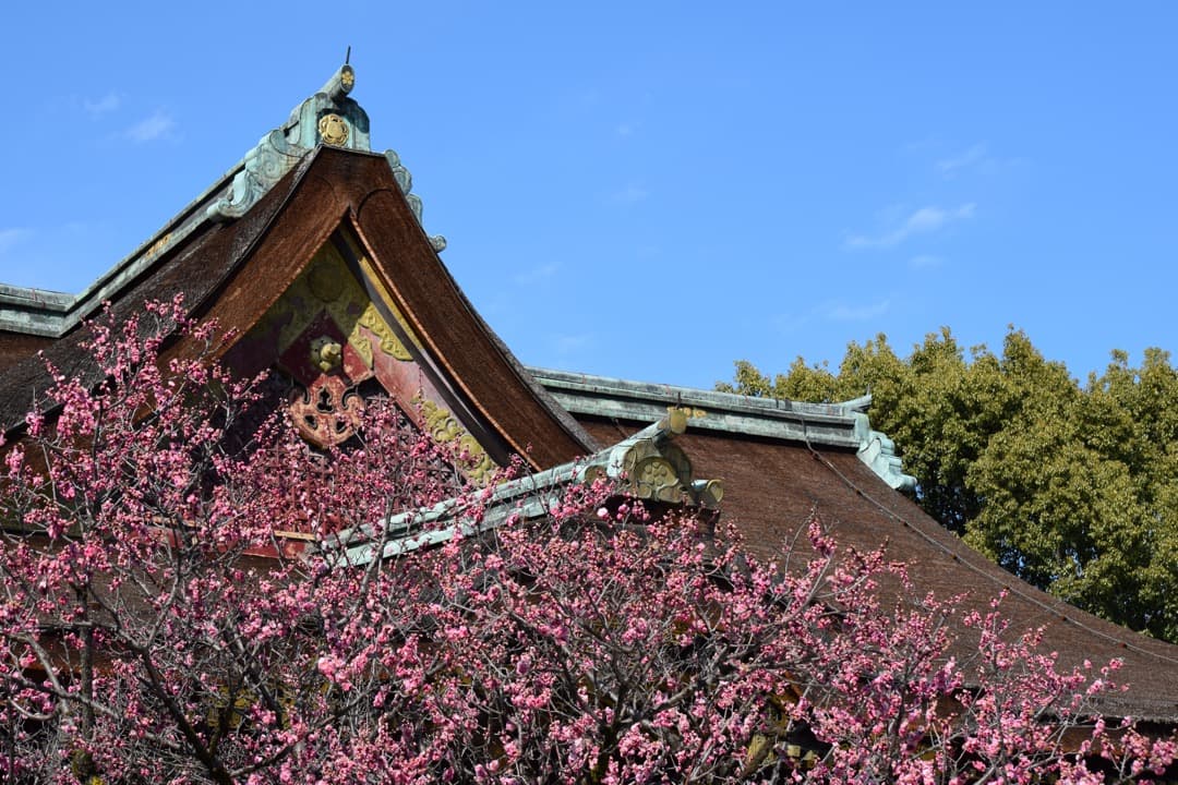 レンズ(ズーム) Nikon DX AF-S 55-300mm f4.5-5.6 G ED VR