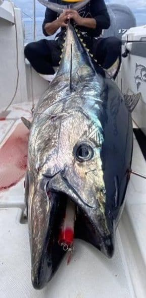 Kaitokraft インヴァイターバブルver.2 200R-80