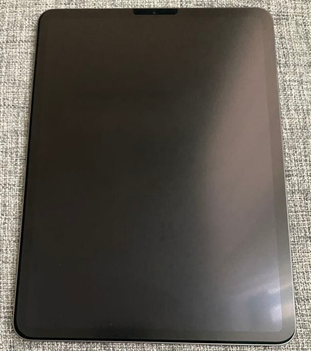 iPad本体 iPad Pro